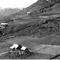 Nummer 19366