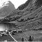 Nummer 19511