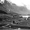 Nummer 19528