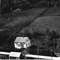 Nummer 19543