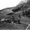 Nummer 19558