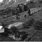 Nummer 19568