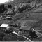Nummer 19571