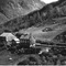 Nummer 19590