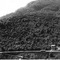 Nummer 19715