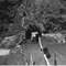 Nummer 19855