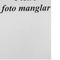 Nummer 24292