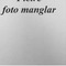 Nummer 27077