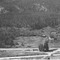 Nummer 29858