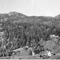 Nummer 30381