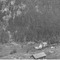 Nummer 31952
