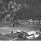 Nummer 31953