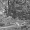 Nummer 32202