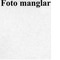 Nummer 33406