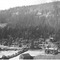 Nummer 36290