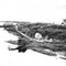 Nummer 43057