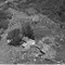 Nummer 47824