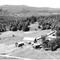 Nummer 53078