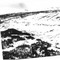 Nummer 54067