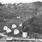 Nummer 57066
