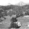 Nummer 61527