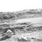 Nummer 61889