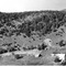 Nummer 65442