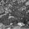 Nummer 67687