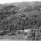 Nummer 68417