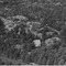 Nummer 76822
