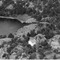 Nummer 76880