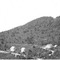 Nummer 80673