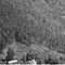 Nummer 81141