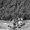 Nummer 82909