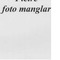 Nummer 87643