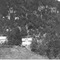 Nummer 91715