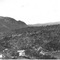 Nummer 91893