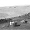Nummer 91899