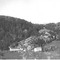 Nummer 91950