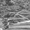 Nummer 96291