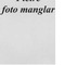 Nummer 98695