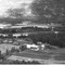 Nummer 99429
