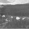 Nummer 99432