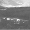 Nummer 99433