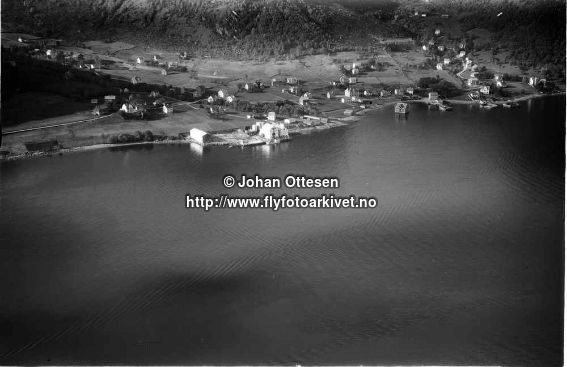 Hausten1954, Brandal