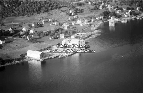 Hausten1954, Brandal