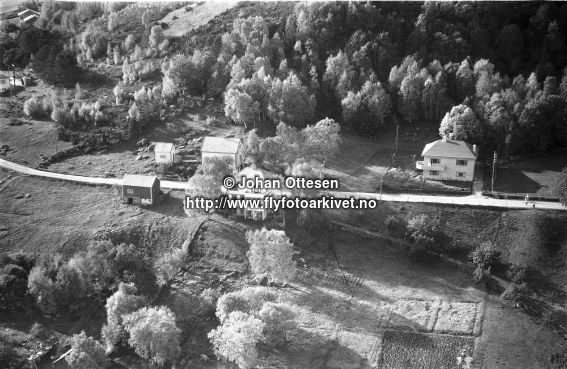 Hausten1954, Hareid