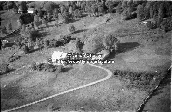 Hausten1954, Pilskogane