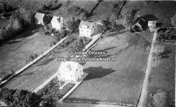 Hausten1954, Ovra