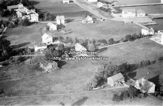 Hausten1954, Hareid